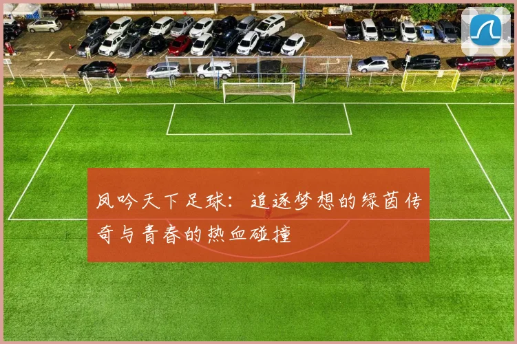 凤吟天下足球：追逐梦想的绿茵传奇与青春的热血碰撞
