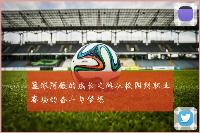 篮球阿薇的成长之路从校园到职业赛场的奋斗与梦想