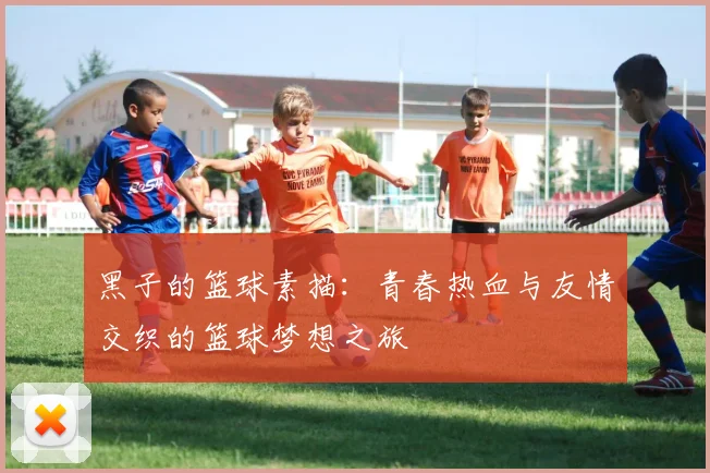 黑子的篮球素描：青春热血与友情交织的篮球梦想之旅