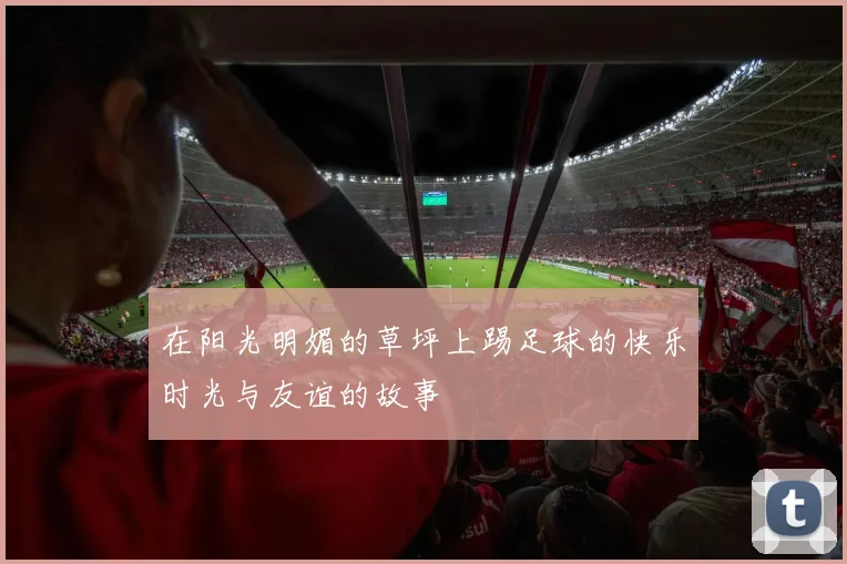 在阳光明媚的草坪上踢足球的快乐时光与友谊的故事